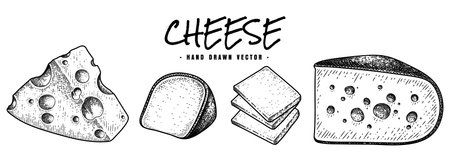 Cheese collection hand drawn sketch vectorのイラスト素材