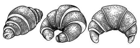Croissant collection hand drawn sketch decorative vectorのイラスト素材