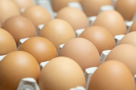 close up whole eggs in box. Chicken egg many. soft focusの写真素材