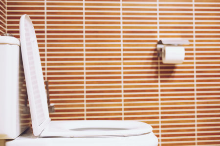 toilet room and tissue paper. empty decoration in bathroom interior modern wall decoration. copy space enter the text.の写真素材
