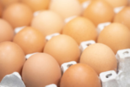 whole eggs in box. Chicken egg many floors on the tableの写真素材
