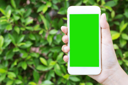 Woman hand shows mobile smartphone with green screen in garden. Mock up mobile.の写真素材