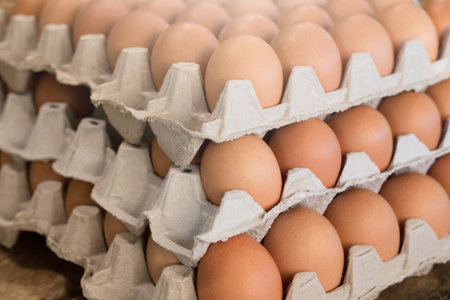 whole eggs in box. Chicken egg on the table.の写真素材