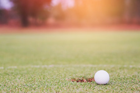 Golf ball on the green.の写真素材