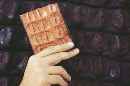 hand holding Crocodile Leather wallet Bag color brown yellow. background skin brown darkの写真素材