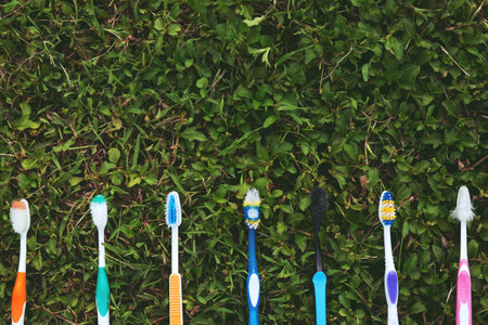 Toothbrush old used expired Colorful variety put sort on grass background.の写真素材