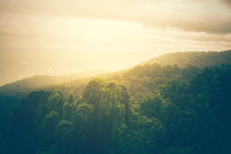 landscape forest in atmosphere cold weather the winter mist covered the mountain and sunlight shining down.の写真素材