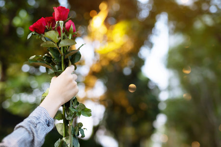 Cheerful young woman hands holding up bouquet red rose flower nature beautiful flowers over representation of love. copy space empty write messages in Valentines day, wedding or romantic love concept.の写真素材