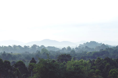 landscape forest in atmosphere cold weather the winter mist covered the mountain. soft focus.の写真素材