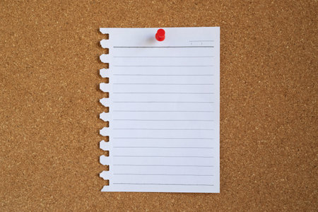 collection of colorful variety  paper note reminder sticky notes pin on cork bulletin board. empty...