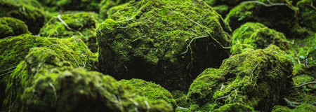 Green moss is naturally beautiful at the park.