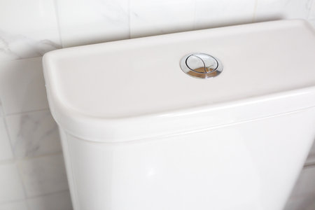 Toilet flushing in the bathroom