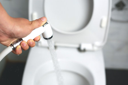 Toilet sprayer In the bathroom