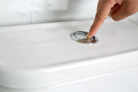 Toilet flushing in the bathroom