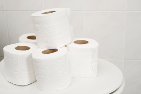 The tissue paper was placed on the toilet bowl in the bathroom.の写真素材