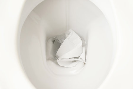 Toilet paper in the toilet flush at home.の写真素材