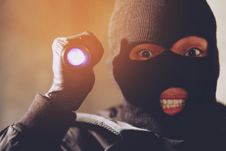 online thief hack important financial data credit card passwordの写真素材