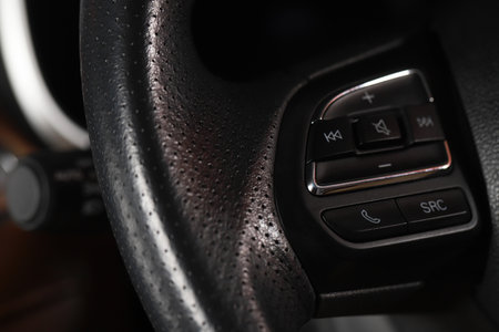 Mobile control buttons in the car