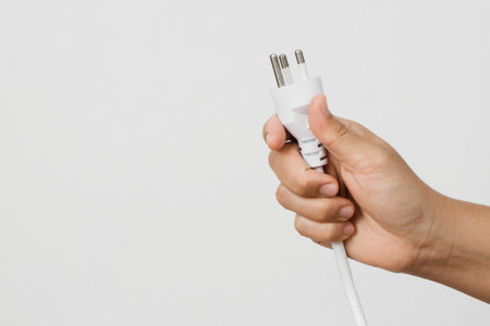 Electrical appliances plugs full of all plugs or plugs together. Because of the risk of causing a short circuit from high heat accumulated in the wires.の写真素材
