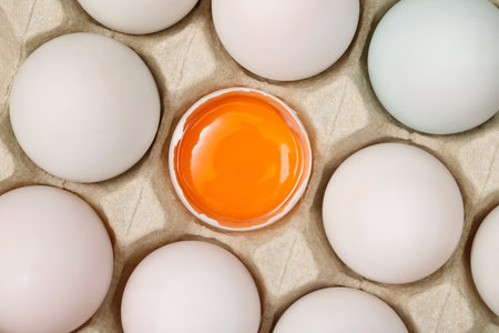 Eggs in a cardboard box on a white background. Top view.の写真素材