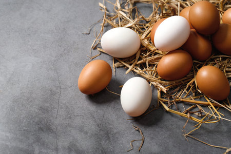 Top view egg yolk and egg white high protein good for bodyの写真素材