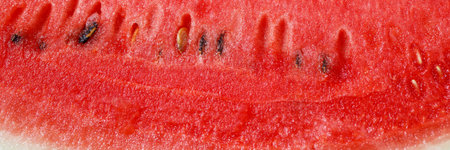 Red watermelon fruit texture background picture rich in healthy nutrientsの写真素材
