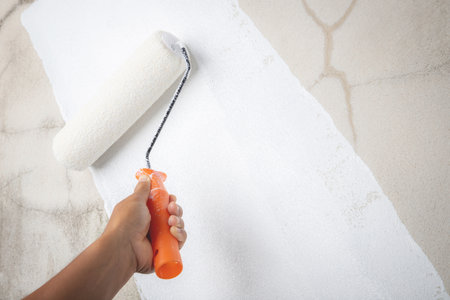 Painter is painting the interior wall whiteの写真素材