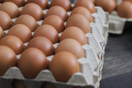 Fresh eggs from organic farms every morningの写真素材