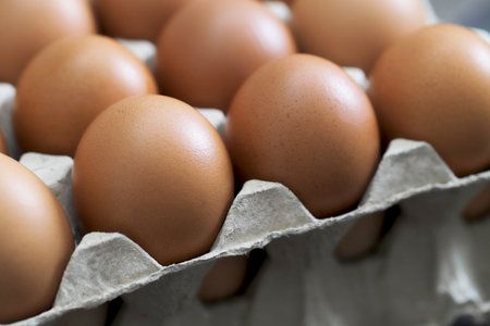 Fresh eggs from organic farms every morningの写真素材