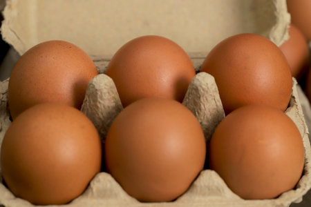 Fresh eggs from organic farms every morningの写真素材