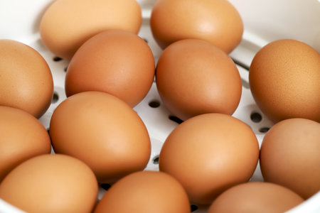 Fresh eggs from organic farms every morningの写真素材