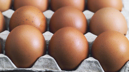 Fresh eggs from organic farms every morningの写真素材