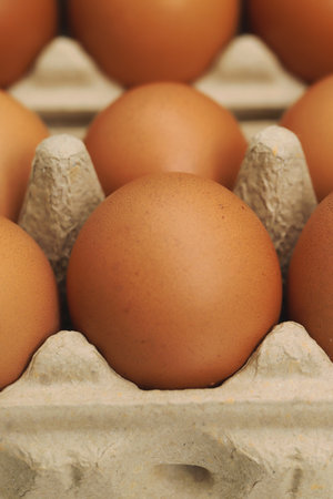 Eggs are the best protein and are inexpensive and readily availableの写真素材