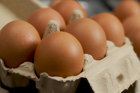Fresh eggs from organic farms every morningの写真素材