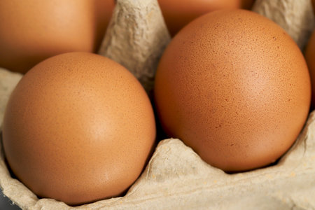 Eggs are the best protein and are inexpensive and readily availableの写真素材