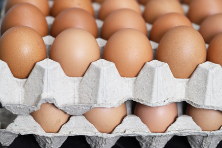 Fresh eggs from organic farms every morningの写真素材