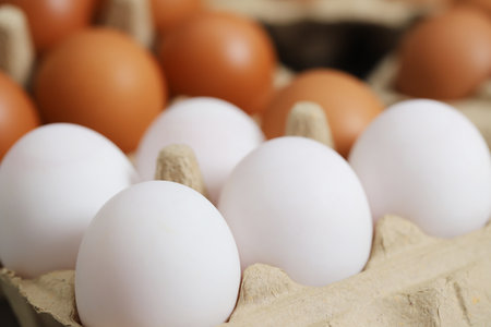Fresh eggs from organic farms every morning