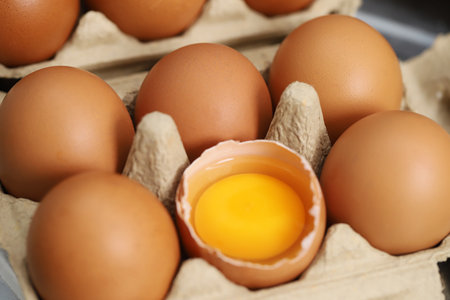 Fresh eggs from organic farms every morningの写真素材