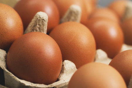 Eggs are the best protein and are inexpensive and readily availableの写真素材