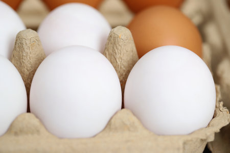 Eggs are the best protein and are inexpensive and readily availableの写真素材