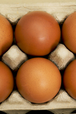 Eggs are the best protein and are inexpensive and readily availableの写真素材