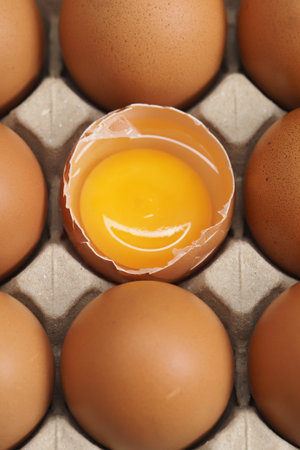 Eggs are the best protein and are inexpensive and readily availableの写真素材