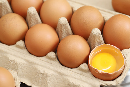 Fresh eggs from organic farms every morningの写真素材