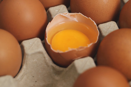Eggs are the best protein and are inexpensive and readily availableの写真素材