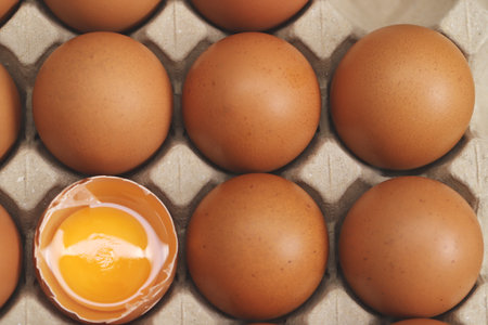 Eggs are the best protein and are inexpensive and readily availableの写真素材