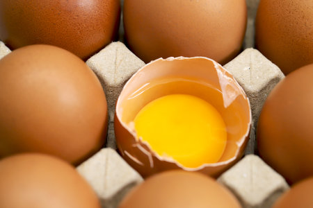 Eggs are the best protein and are inexpensive and readily availableの写真素材