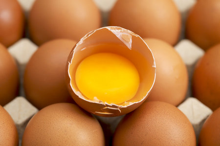 Eggs are the best protein and are inexpensive and readily availableの写真素材
