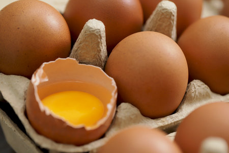 Eggs are the best protein and are inexpensive and readily availableの写真素材