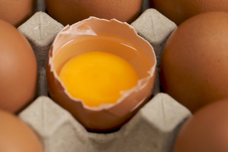 Eggs are the best protein and are inexpensive and readily availableの写真素材