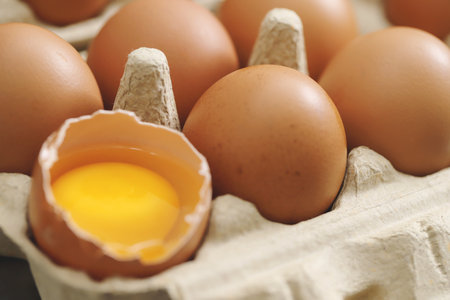 Fresh eggs from organic farms every morningの写真素材